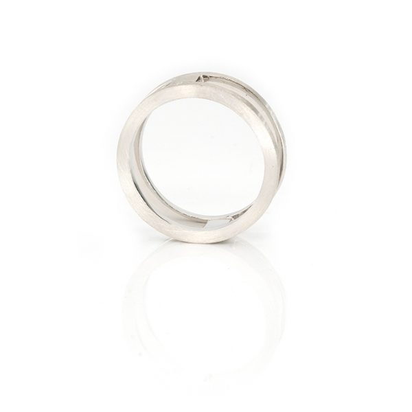 Alliance Homme Nude 5